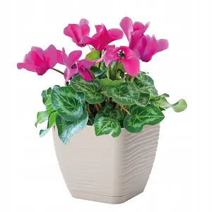 Plant Pot Flowerpot Square Plastic Modern Decorative Small Medium Large  Cream 13cm