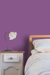 Leyland Trade Vinyl Soft Sheen Walls & Ceilings Emulsion Paint Signal Violet (RAL 4008) - 2.5L