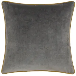 Paoletti Meridian Velvet Polyester Filled Cushion