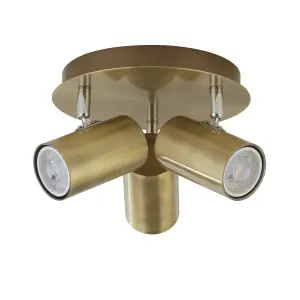 Lighting Collection Tampa Antique Brass Cylinder 3 Light Spotlight