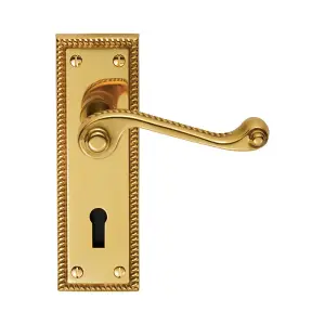 Carlisle Brass Polished Brass Georgian Lever on Lock Backplate (FG1)