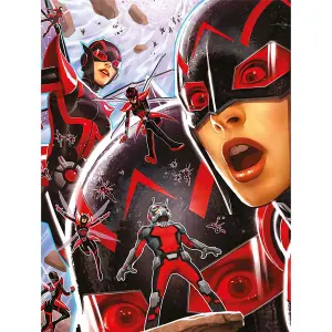 Ant-Man And The Wasp Quantum Realm Framed Canvas Print Red/Black (80cm x 60cm)