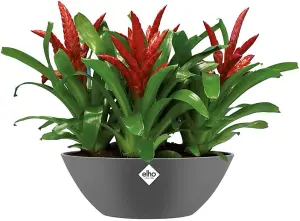 Elho Brussels Oval 36cm Plastic Plant Pot in Anthracite