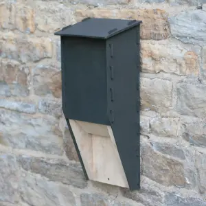 Eco Crevice Bat Box - Recycled LDPE Plastic/Wood - L14.5 x W22.5 x H51 cm - Black