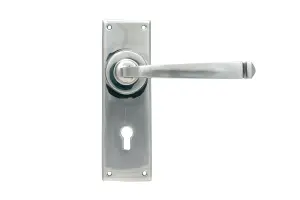 From The Anvil Polished Marine SS (316) Avon Lever Lock Set