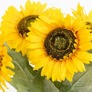 Artificial Sunflower Stems - 12 Pack Bundle, 3 Flower Heads Per Stem