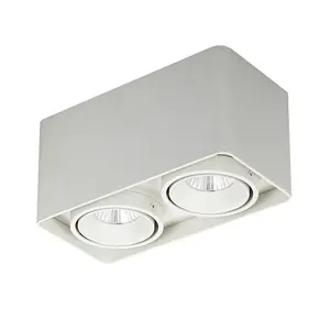 Luminosa Modern Technical LED Surface Mounted White, warm White 3000K 1700lm