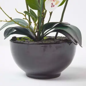 Homescapes White Orchid 62 cm Phalaenopsis in Ceramic Pot Extra Large, 5 Stems