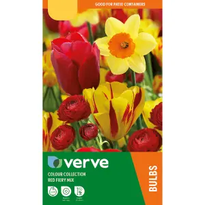 Colour Collection - Red Fiery Mix 40 Flower bulbs