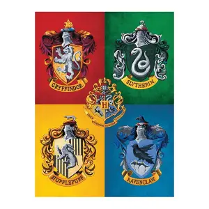 Harry Potter Crest Canvas Print Yellow/Red/Green (80cm x 18mm x 60cm)