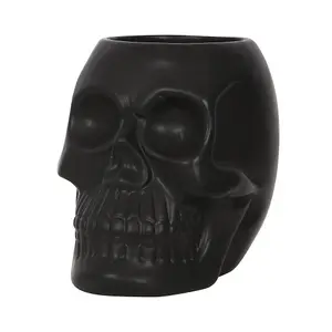 Something Different Dark Matter Skull Plant Pot Black (One Size)