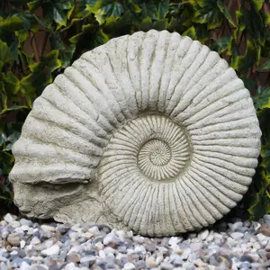 Ammonite Fossil Large Stone Statue Outdoor Garden Ornament Decoration British Made Sculpture