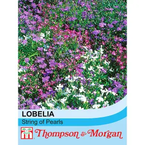 Lobelia String of Pearls Mixed 1 Packet (1000 Seeds)