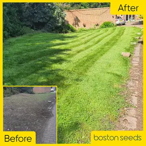 Boston Seeds BS Economy Grass Seed (25 x 20kg)