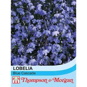 Lobelia Blue Cascade 1 Packet (1000 Seeds)