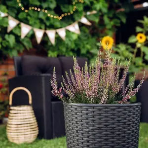 Round Planter Plant Flower Pot Outdoor Garden Weatherproof with Insert Rattan Anthracite  30cm - 15 Litres