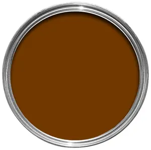 Rust-Oleum Painter's Touch Old penny bronze Metallic effect Multi-surface paint, 20ml