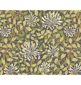 Origin Murals Honeysuckle - Black and Olive Green Matt Smooth Paste the Wall Mural 350cm wide x 280cm high