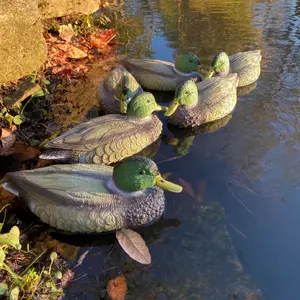 Mallard Duck Hunting Shooting Floating Decoy Pond Decoration Large (Set of 6)