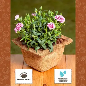 Coco & Coir Biodegradable Plant Pots  Plastic Free Eco-friendly Propagation Pots (Square) (48, 8cm  3 icnhes)