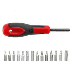 SPARES2GO 21 Piece Large & Small Magnetic Tip Screwdriver and Bit Set