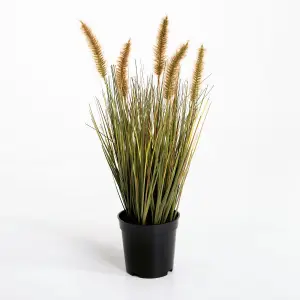 Blooming Artificial - 45cm / 1.5ft Artificial Ornamental Grass Plant