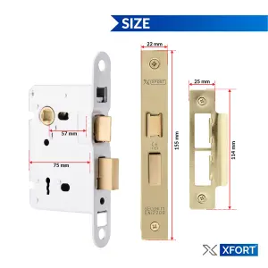 XFORT 3 Lever Polished Brass Mortice Sashlock 75mm