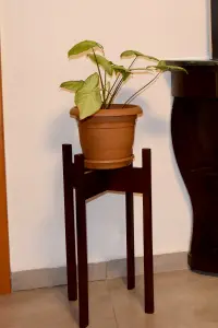 Decorotika Florny Handmade Solid Wood Plant Stand (60cm)