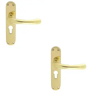 2 PACK - Rounded Smooth Latch & EURO Lock Door Handle - Polished Brass Lever on Backplate