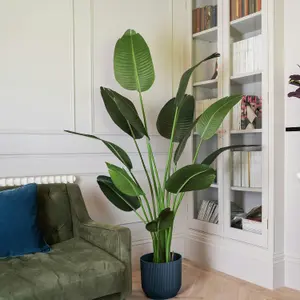 Blooming Artificial - 175cm / 5.75ft Fake Strelitzia