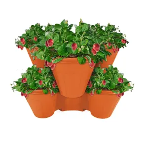 Trio Stackable Stacking Strawberry Planter Plant Flower Pot Herb Garden - Terracotta