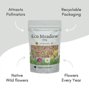 Eco Meadow - Grass & Wildflower SeedsMix 100g (20m²)