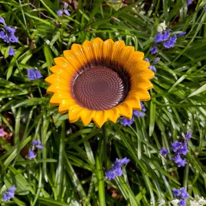 Cast Iron Wild Bird Sunflower Dish Bird Feeder (Set of 5)