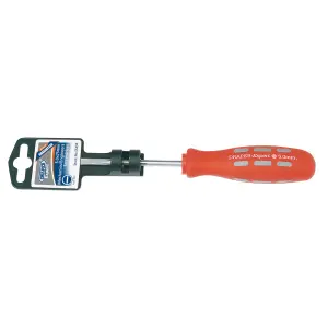 Draper Plain Slot Parallel Tip Mechanic's Screwdriver, 5 x 75mm 55494