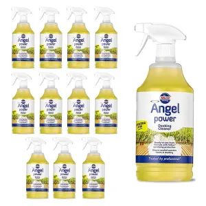 Nilco Angel Power 12L Garden Decking Wooden Floor Cleaner & Trigger Foam 12x 1L