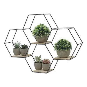 4 Compartments Modern Floating Hexagon Wall Shelf Intersecting Shelves with Iron Frame