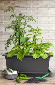 800mm Magnus Planter, Trough Flowerpot - Self-watering Mobile Living Wall Kit with Vermiculite - W79 D38 H39, 78L - Anthracite