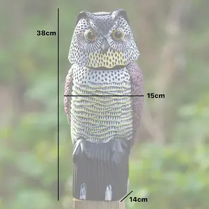 Woodside Owl With Rotating Head