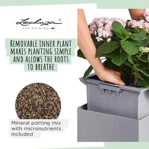 LECHUZA CANTO Stone 30 Low Stone Grey Floor Self-watering Planter with Substrate and Water Level Indicator H30 L30 W30 cm, 12L