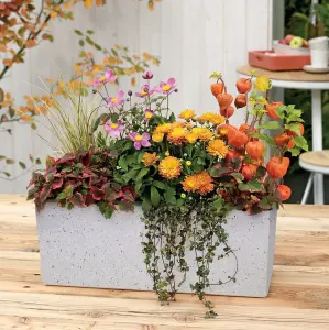 IDEALIST™ 40cm Window Box Garden Planter, Grey Marble Effect Windowsill Planter, Outdoor Plant Pot L40 W17 H17 cm, 12L