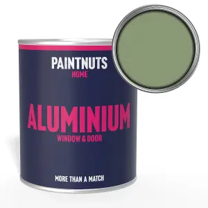 PaintNuts Aluminium Metal Window Door Weatherproof Matt Paint - Pale Green - 500ml (RAL6021)