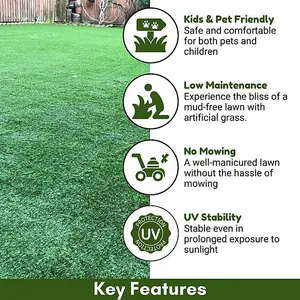 Boundary 30mm Outdoor Artificial Grass,Pet-Friendly Outdoor Artificial Grass-5m(16'4") X 4m(13'1")-20m²