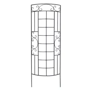 Primrose Romantic Curved Trellis and Plant Support Ladder in Black 182cm