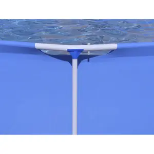 10ft Steel Frame Above-Ground Swimming Pool with Filter Pump for Kids