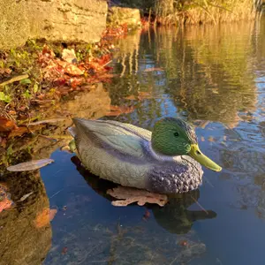 Mallard Duck Hunting Shooting Floating Decoy Pond Decoration (Set of 6)