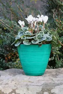 Recycled Plastic Planter Pot - 8" Savannah Forest Green