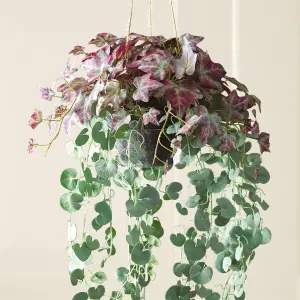 Bloom Artificial Hanging Basket with Purple Tongue & String of Heart Plants - Faux Fake Houseplant Home Decoration - H100 x W40cm