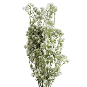 Pack of 6 x 85cm Gypsophila White Stem