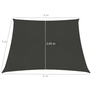 Berkfield Sunshade Sail 160 g/m2 Anthracite 4/5x3 m HDPE