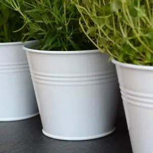 Set of 3 Metal Herb Plant Pots with Saucer Tray Indoor Windowsill Kitchen Planter (Chalk White)